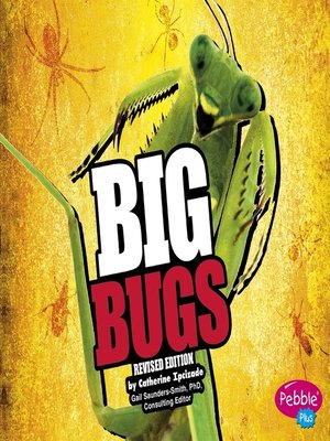 cover image of BIG Bugs